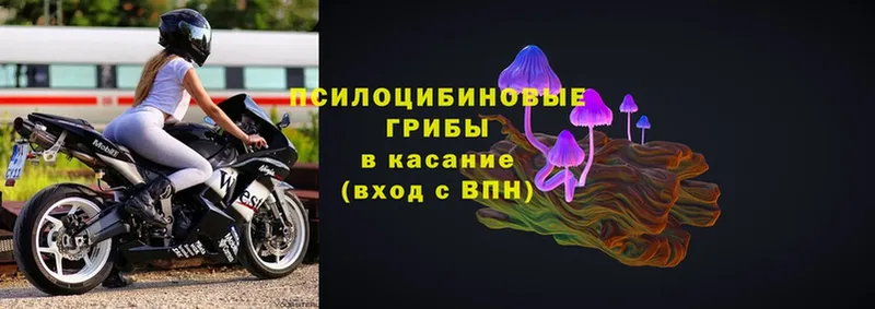 Псилоцибиновые грибы мицелий  Когалым 